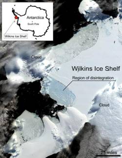 Se desgaja la placa de Wilkins en la Antártida
